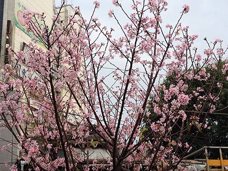 IMG_2567 IMG_2567