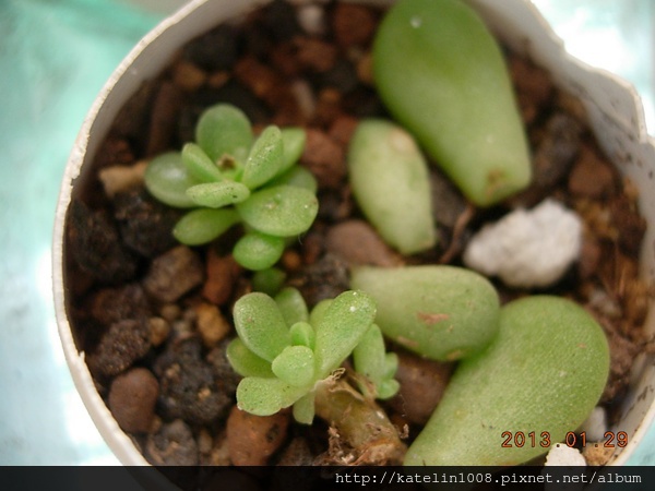 DSCN2251 DSCN2251