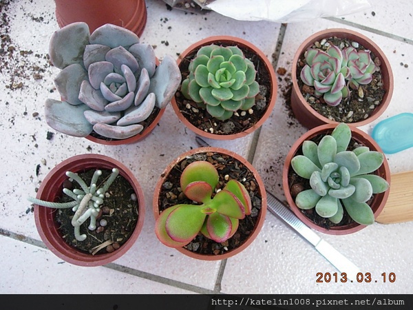 DSCN2851 DSCN2851