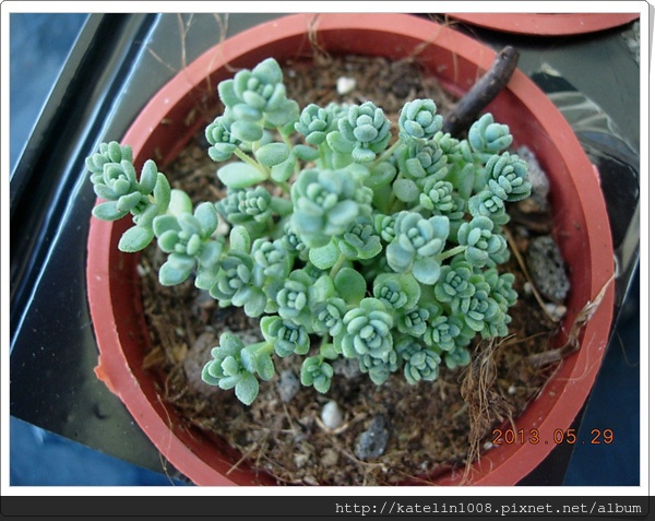 DSCN3858 DSCN3858