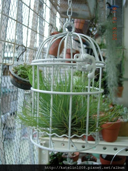 DSCN4666.JPG DSCN4666.JPG