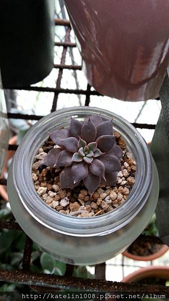 20141117_091337.jpg 20141117_091337.jpg