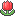 tulip.gif tulip.gif