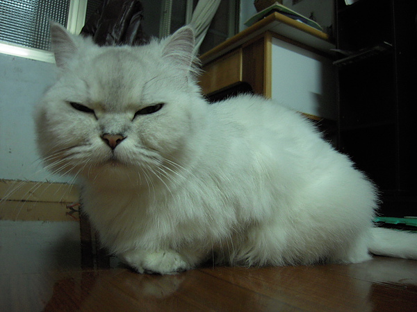 DSCN3427.JPG DSCN3427.JPG