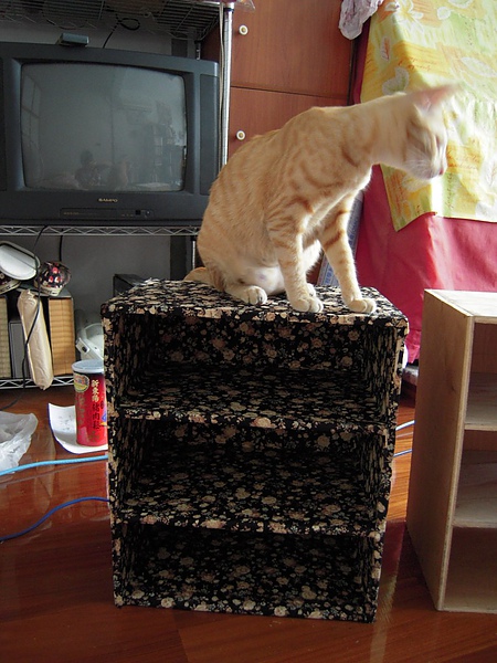 DSCN3649.JPG DSCN3649.JPG