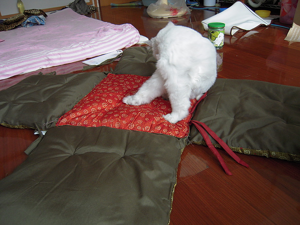 DSCN3822.JPG DSCN3822.JPG