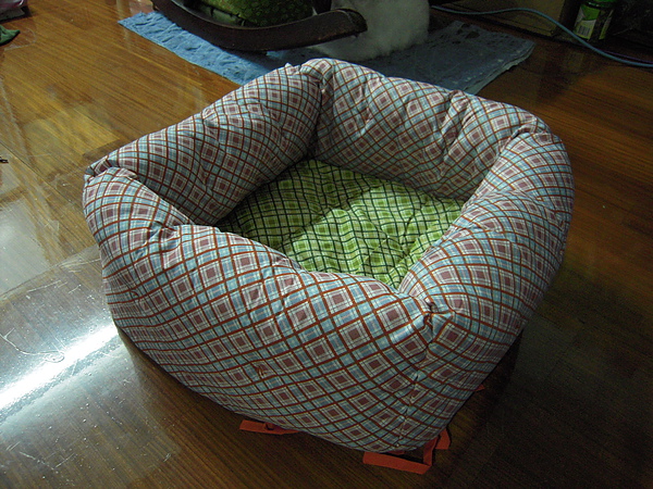 DSCN4039.JPG DSCN4039.JPG