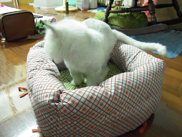 DSCN4040.JPG DSCN4040.JPG