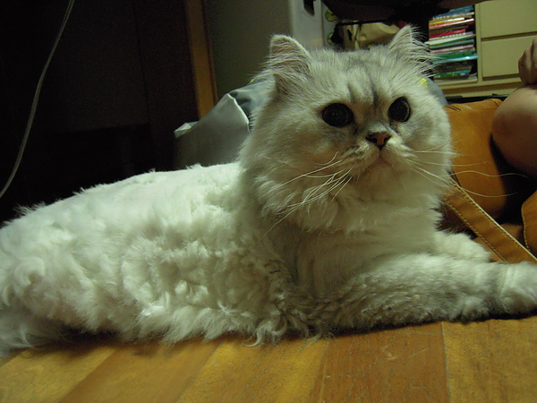 DSCN3786.JPG DSCN3786.JPG