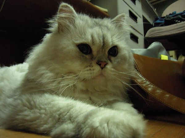 DSCN3787.JPG DSCN3787.JPG