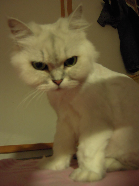 DSCN3746.JPG DSCN3746.JPG