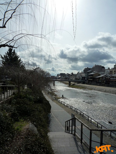 鴨川1.jpg