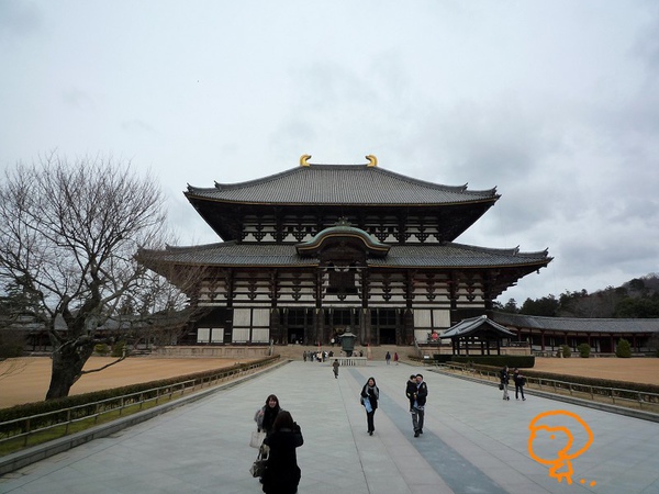東大寺.jpg