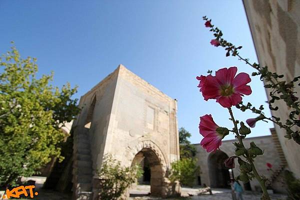 Turkey I miss u 4.jpg