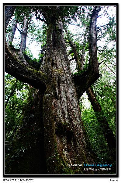 DSC08144_nEO_IMG.jpg DSC08144_nEO_IMG.jpg