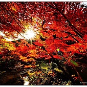 nEO_IMG_DSC09042 nEO_IMG_DSC09042