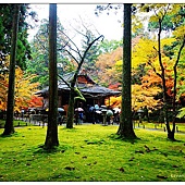nEO_IMG_DSC09455 nEO_IMG_DSC09455