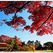 nEO_IMG_DSC00557 nEO_IMG_DSC00557
