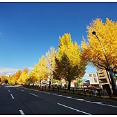 nEO_IMG_DSC00475 nEO_IMG_DSC00475