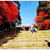 nEO_IMG_DSC01202 nEO_IMG_DSC01202