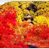 nEO_IMG_DSC03232 nEO_IMG_DSC03232