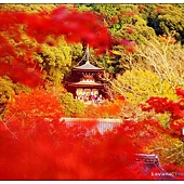 nEO_IMG_DSC03249 nEO_IMG_DSC03249