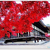 nEO_IMG_DSC02831 nEO_IMG_DSC02831