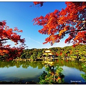 nEO_IMG_DSC02388 nEO_IMG_DSC02388