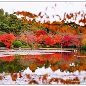 nEO_IMG_DSC02738 nEO_IMG_DSC02738