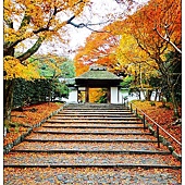 nEO_IMG_DSC08661 nEO_IMG_DSC08661