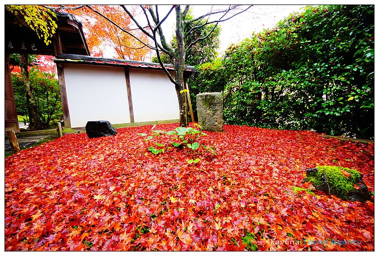 nEO_IMG_DSC03438 nEO_IMG_DSC03438