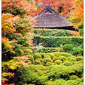 nEO_IMG_DSC03503 nEO_IMG_DSC03503