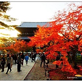 nEO_IMG_DSC01761 nEO_IMG_DSC01761