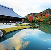 nEO_IMG_DSC06335 nEO_IMG_DSC06335