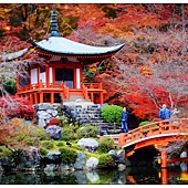 nEO_IMG_DSC07244 nEO_IMG_DSC07244