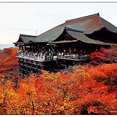 nEO_IMG_DSC06701 nEO_IMG_DSC06701
