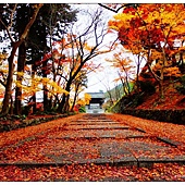 nEO_IMG_DSC07337 nEO_IMG_DSC07337