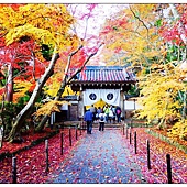 nEO_IMG_DSC07871 nEO_IMG_DSC07871