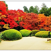 nEO_IMG_DSC03571 nEO_IMG_DSC03571