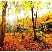 nEO_IMG_DSC06141 nEO_IMG_DSC06141