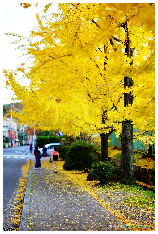 nEO_IMG_DSC00739 nEO_IMG_DSC00739