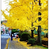 nEO_IMG_DSC00739 nEO_IMG_DSC00739