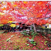 nEO_IMG_DSC06192 nEO_IMG_DSC06192