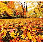 nEO_IMG_DSC04595 nEO_IMG_DSC04595