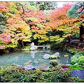 nEO_IMG_DSC04064 nEO_IMG_DSC04064
