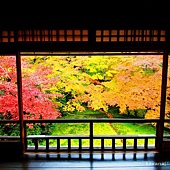 nEO_IMG_DSC03987 nEO_IMG_DSC03987