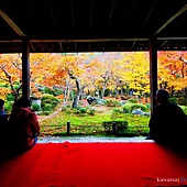 nEO_IMG_DSC03768 nEO_IMG_DSC03768