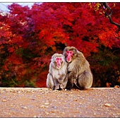 nEO_IMG_DSC05364 nEO_IMG_DSC05364