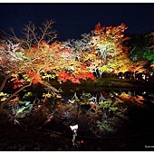 nEO_IMG_DSC06844 nEO_IMG_DSC06844
