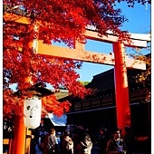 nEO_IMG_DSC08842 nEO_IMG_DSC08842